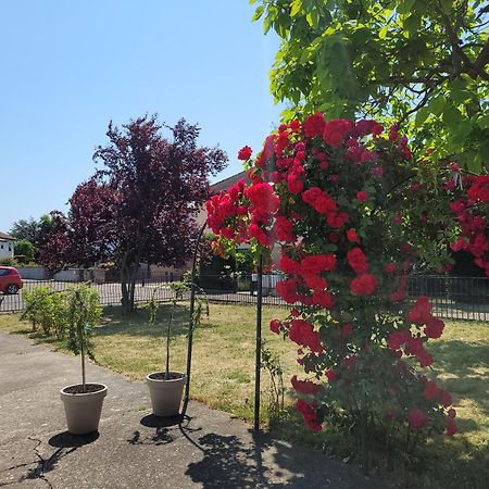 Au Petit Bonheur Apartman Horbourg Szoba fotó