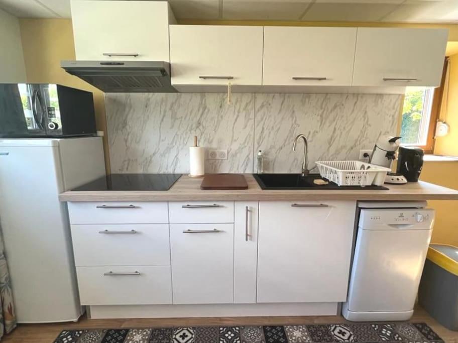 Au Petit Bonheur Apartman Horbourg Kültér fotó